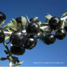 Residuos no pesticidas de nísperos Black Wolfberry